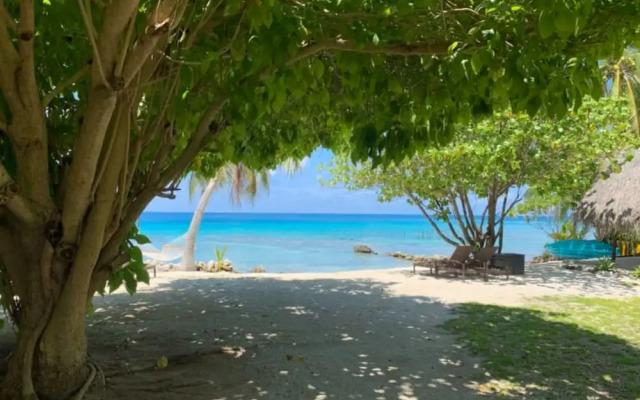 Le Coconut Lodge