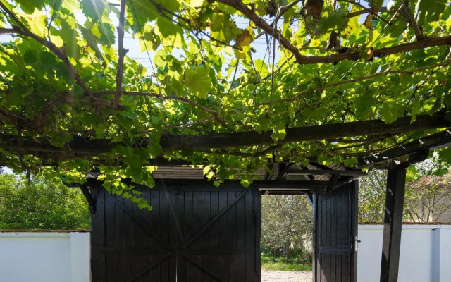 Guest House Intrigue