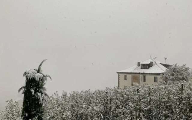 Agriturismo Klostergut