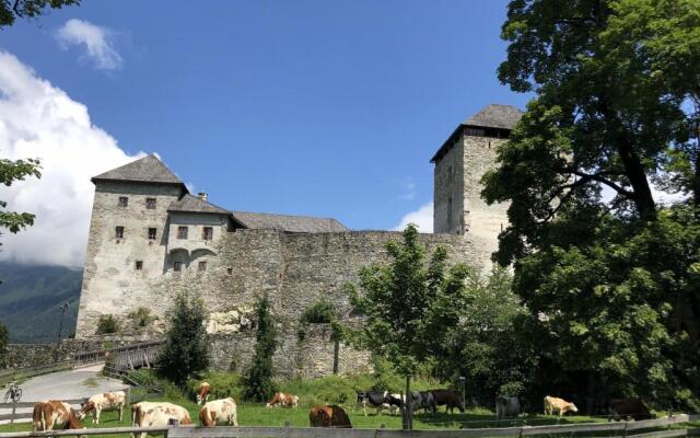 Kapruner Tal- Top 10-1 bedroom Apartment