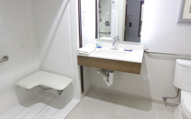 Holiday Inn Express Hotel & Suites Seguin