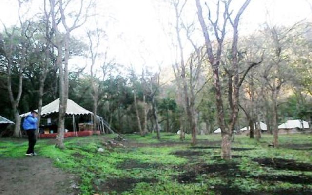 Camp Leopard Heights