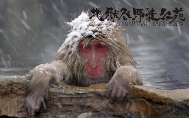 Balls Deep Inn Hakuba