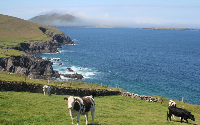 Dingle Courtyard Cottages 2 Bed Sleeps 4