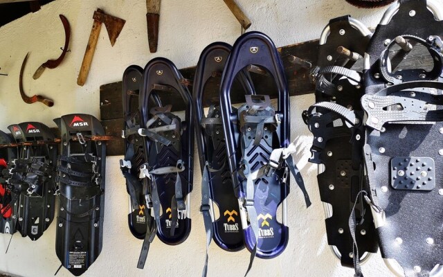 Arve Nr 5 2 Stock West Riederalp