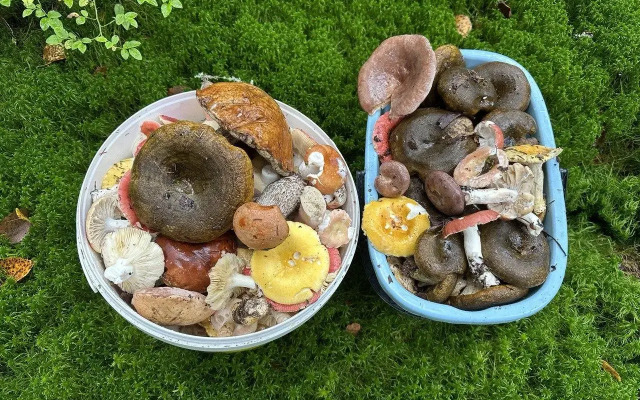 Загородный дом с баней на дровах