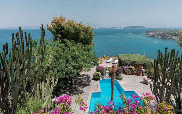 Villa Barkley - Luxury Villa With a Pool