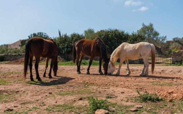 Agroturismo Sa Canoveta