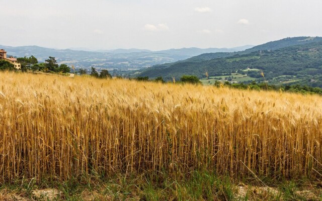 Beautiful Apartment in Assisi With 2 Bedrooms and Wifi