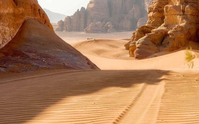 Wadi Rum Stargazing Desert Camp Travel