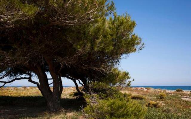 Camping Miramar