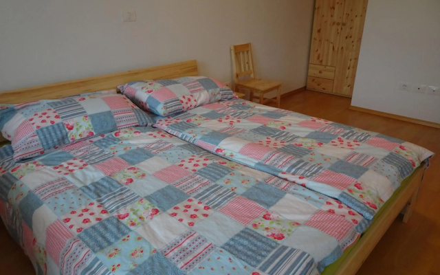 ALPIN apartma