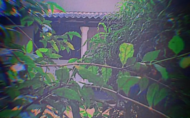 Sinharaja Green Villa