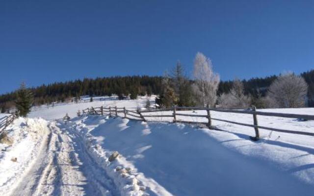 Guest House Panorama Karpat