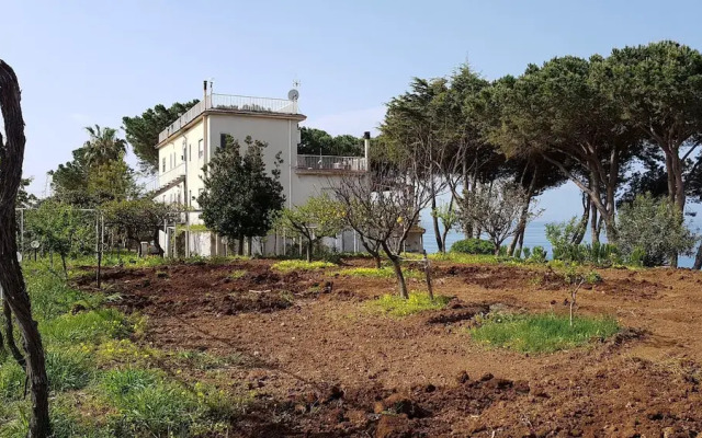 Villa Elvira Country House