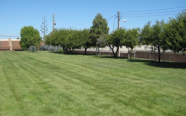 Solaire Inn & Suites