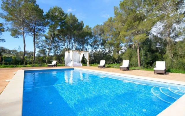 Divina Santa Eugenia