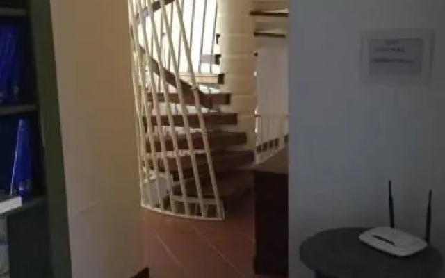 BB Casa Tomato