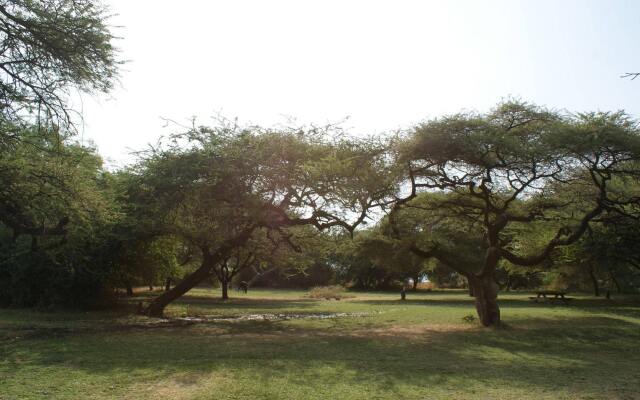 Lake Natron Tented Camp