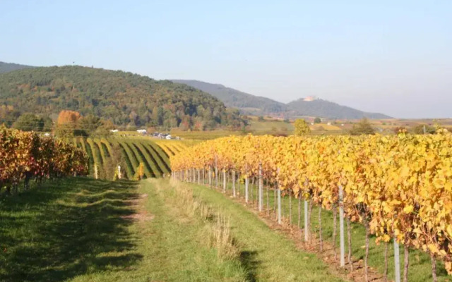 Ferienwohnung Spatzennest
