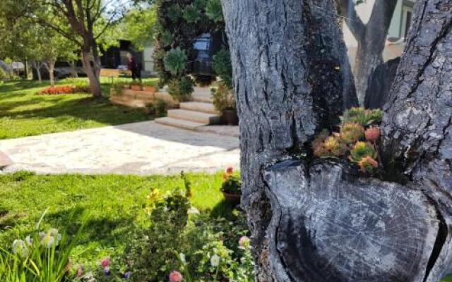 Guest House Toic