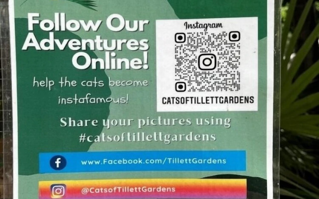 Tillett Gardens Guest House