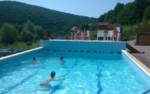 Pensiunea Mihaiu Sasului