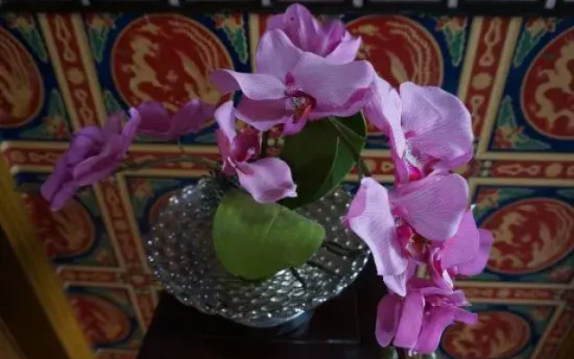 Shuiyun Renjia River View Inn