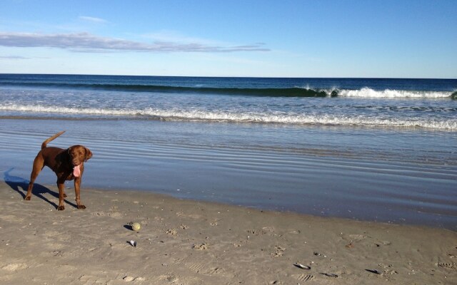 Dragonfly Guest House