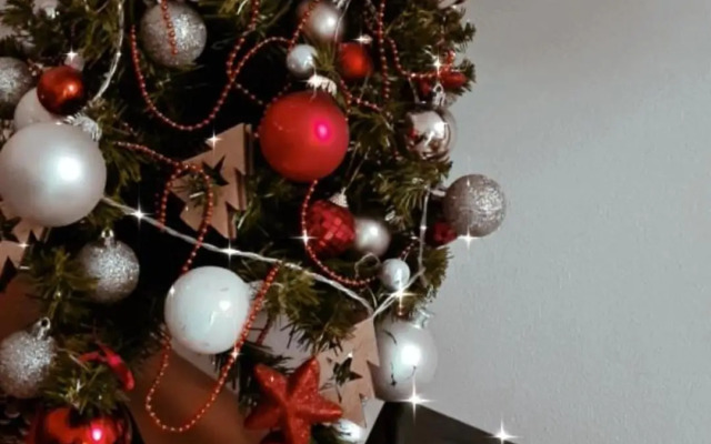 Vall’s apartment- by ski slopes