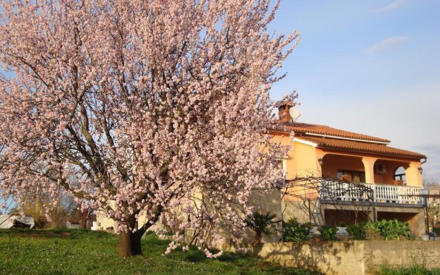 Apartments Alice Green Oasis -