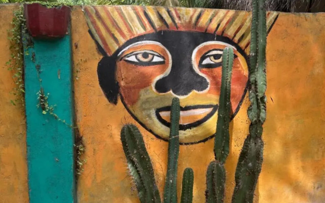 Starfish Beach Bungalows