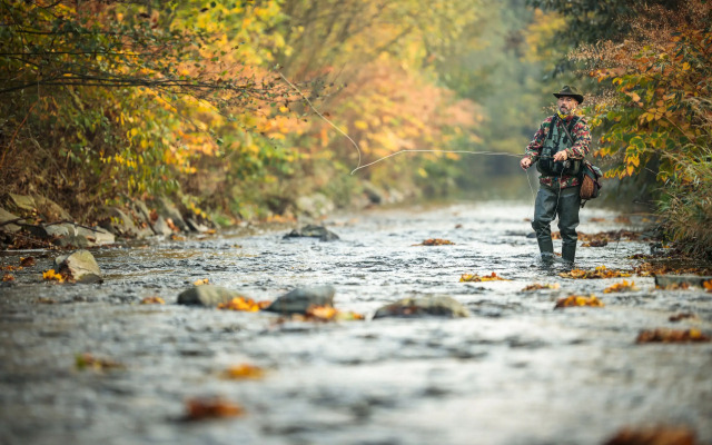 Duchy House Guest House