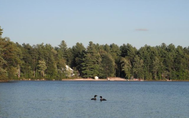 Duncan Lake Cottages