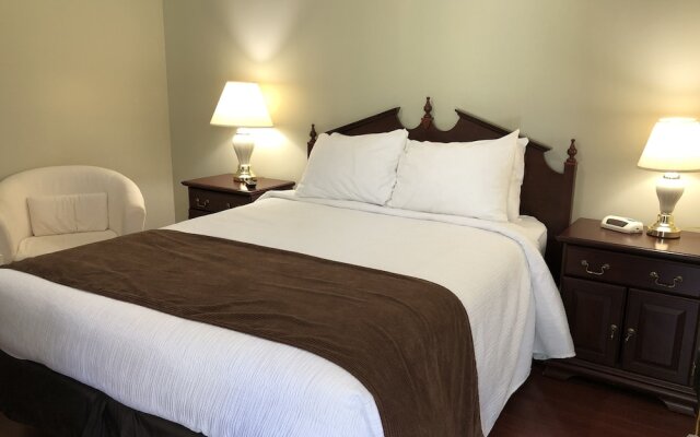 Adventure The Bruce Inn