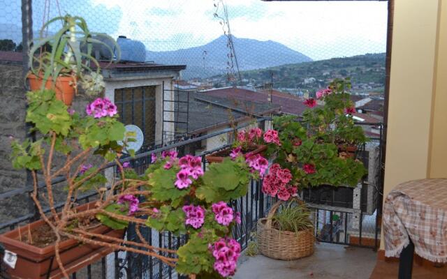 Jolly House Bolognetta