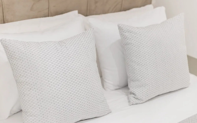 Santa Catarina Prime Studios