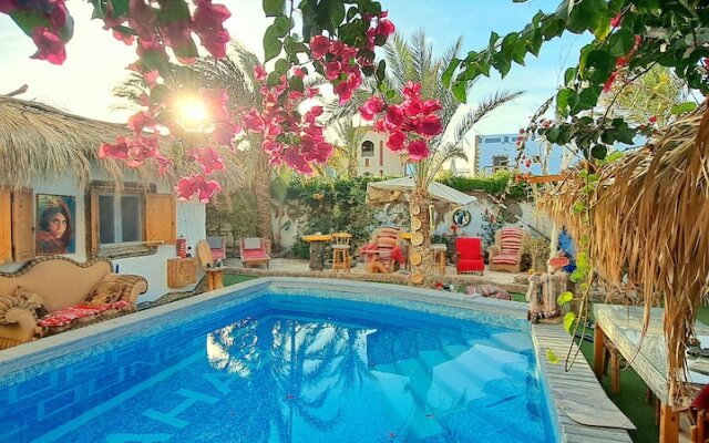 "pool-bungalow With Swimming-pool - Breakfast - Garden - Beduintent - Jacuzzi"