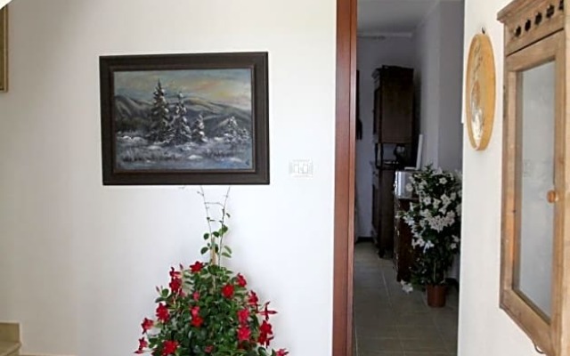 Palmas Dorada