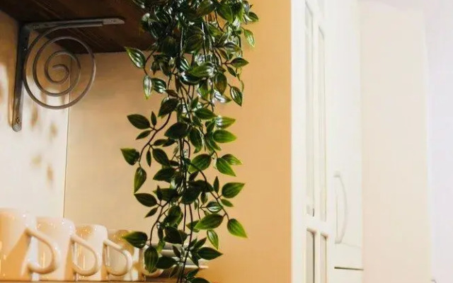 Bonito loft en L'Ampolla