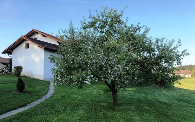 Ferienwohnungen Martina