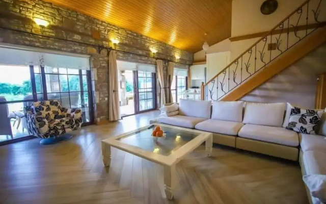 Villa Palm Tree