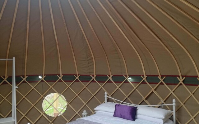 Looe Yurts