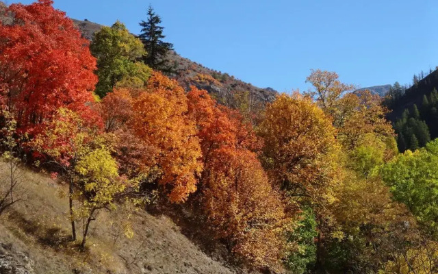 Maison dHôtes lArnica
