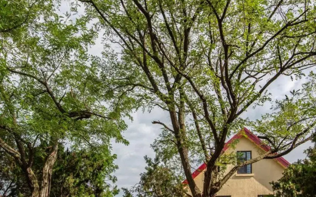 Nordic Memory in Tsingtao