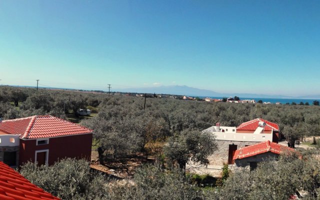 Elea Stone Houses in organic quiet olive grove, Prinos, Thassos