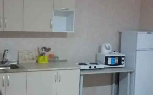 Mini Hotel on Lenina