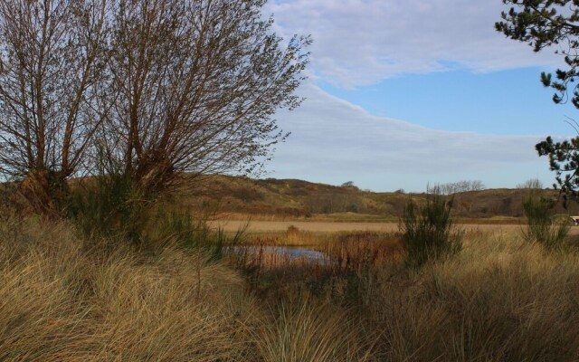 Duinroos Egmond nr 16