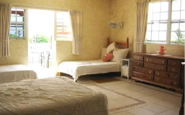 Palm Paradise Guest House and Apartments