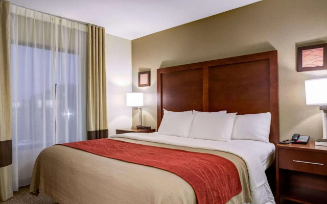 Comfort Inn & Suites Clemson - University Area